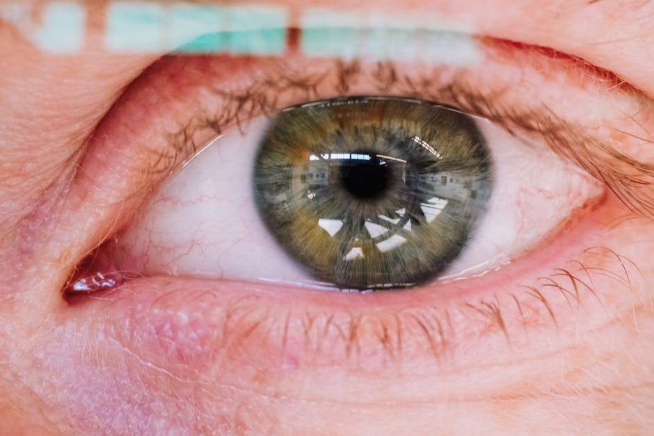 How diet affects vision