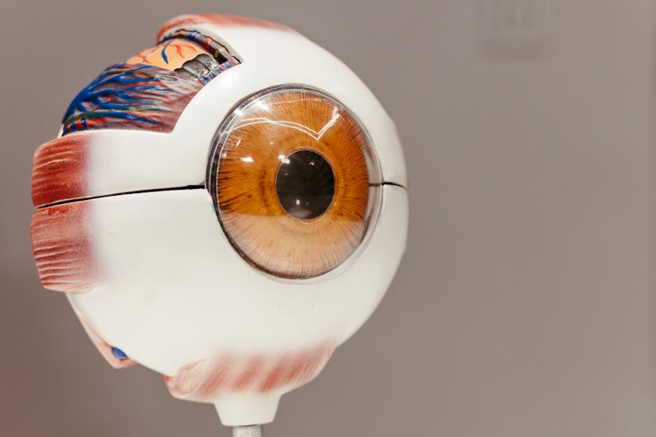 Understanding ocular rosacea dry eyes