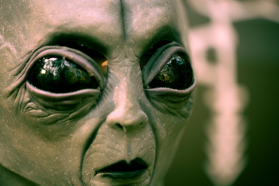 Eye myths debunked: separating fact from fiction in 2026