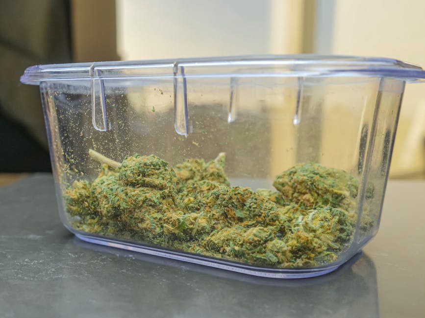 Eye strain remedies at home: complete guide for canadian relief